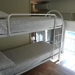 Oasi *
