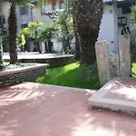 Oasi *