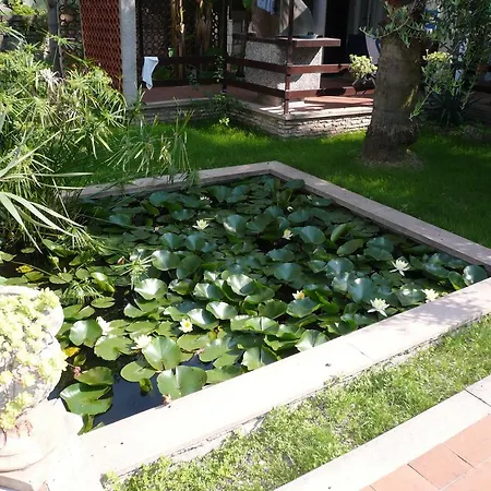 Appartement Oasi
