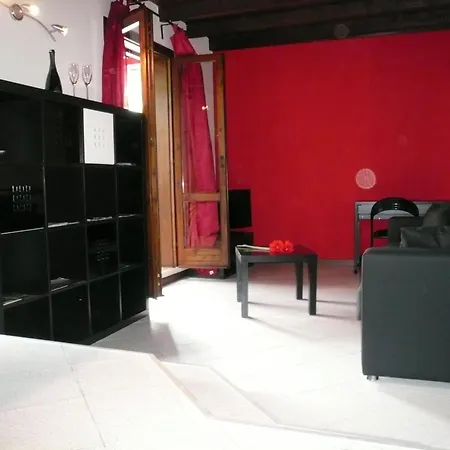 Oasi