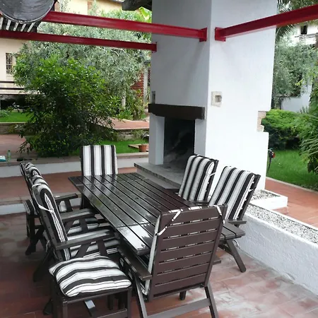 Oasi