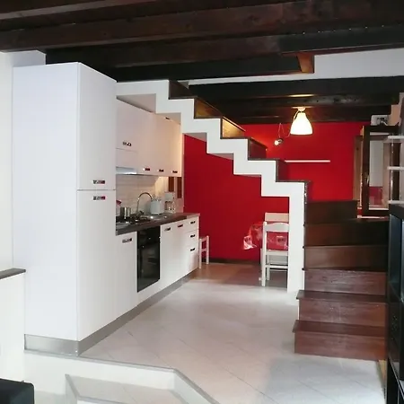 Oasi